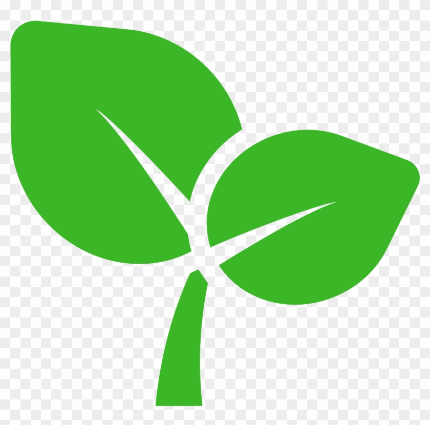 Tuff Sprout - Sprout Png #1603677