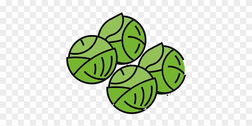 Brussel Sprouts - Brussel Sprouts #1603686