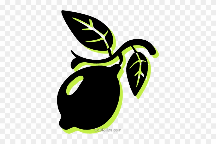 Lemon On Branch Royalty Free Vector Clip Art Illustration - Lemon On Branch Royalty Free Vector Clip Art Illustration #1603737