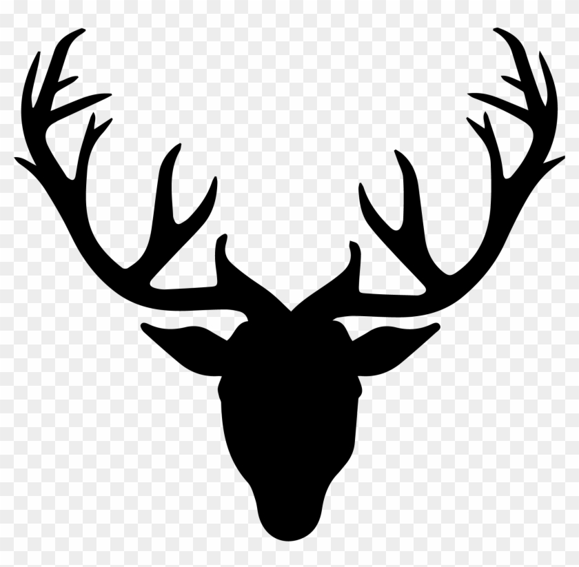 Moose, Elk Png - Stag Head Vector Free #1603918