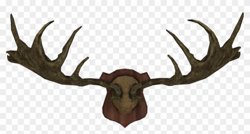 1007 X 493 9 - Antlers Trophy Png #1603929