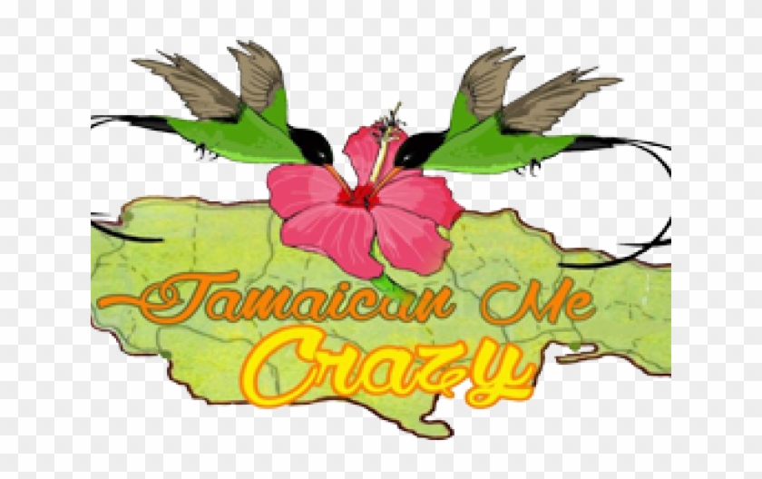 Hummingbird #1604000