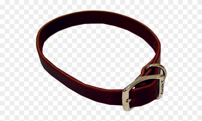 Leather Dog Collar - Strap #1604134