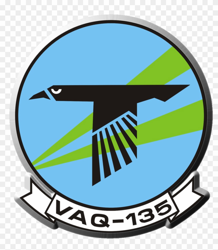 Black Raven Logo For Vaq-135 - Vaq 135 Black Ravens #248049