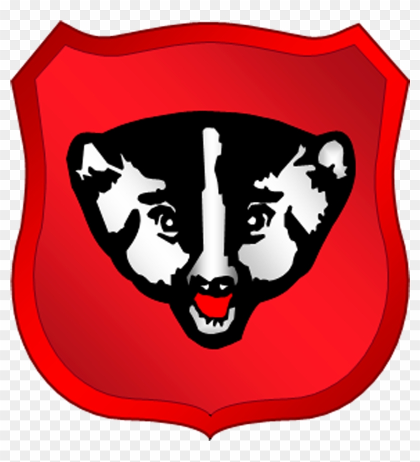 157th Maneuver Enhancement Brigade, 64th Troop Command - Wisconsin National Guard Badger #248177