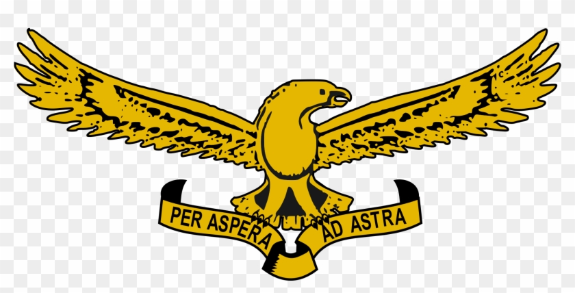 Open - South African Air Force Emblem #248322