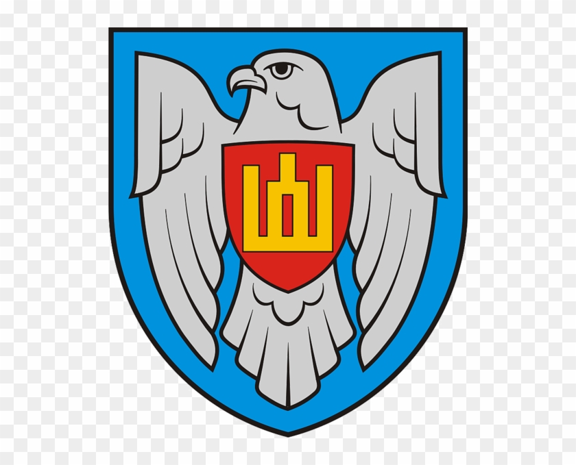Lithuanian Air Force Emblem - Lietuvos Kariuomenes Oro Pajegos #248423