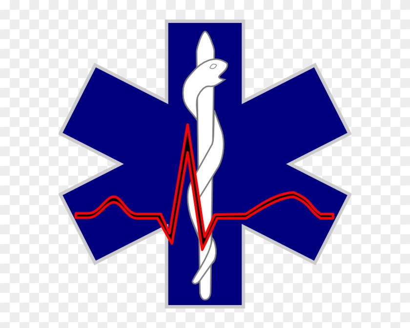 Emergency Medical Services Logo #248437