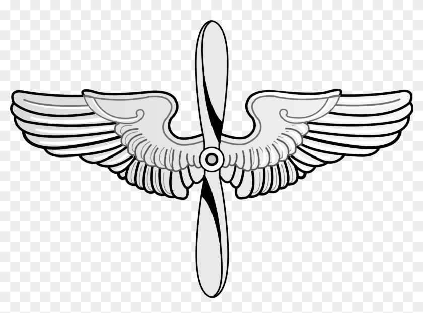 air force wings website