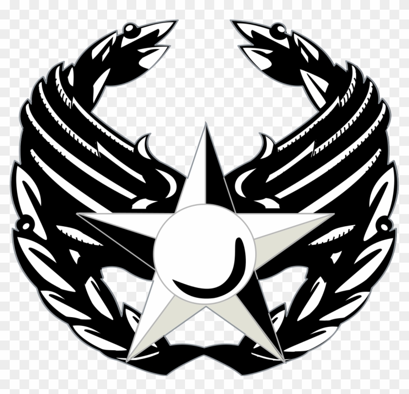 United States Air Force Commander's Insignia - United States Air Force #248922
