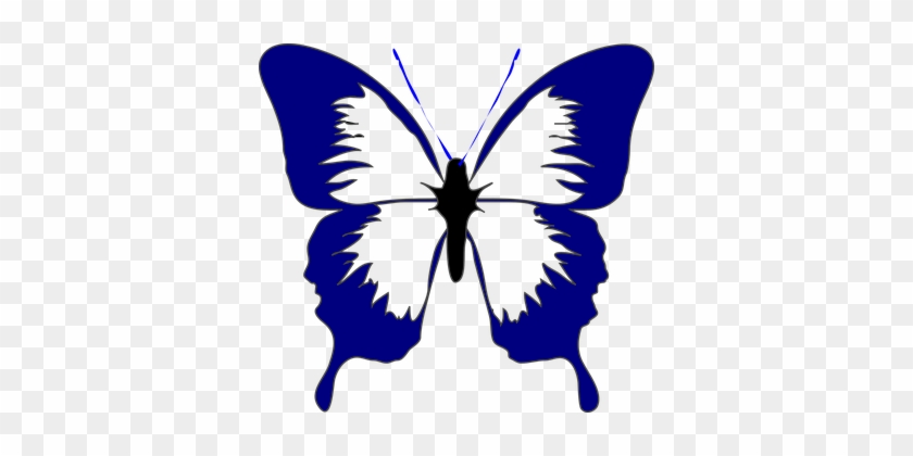 Butterfly Insect Spring Navy Blue Beautifu - Butterfly Black And White Clipart #249162