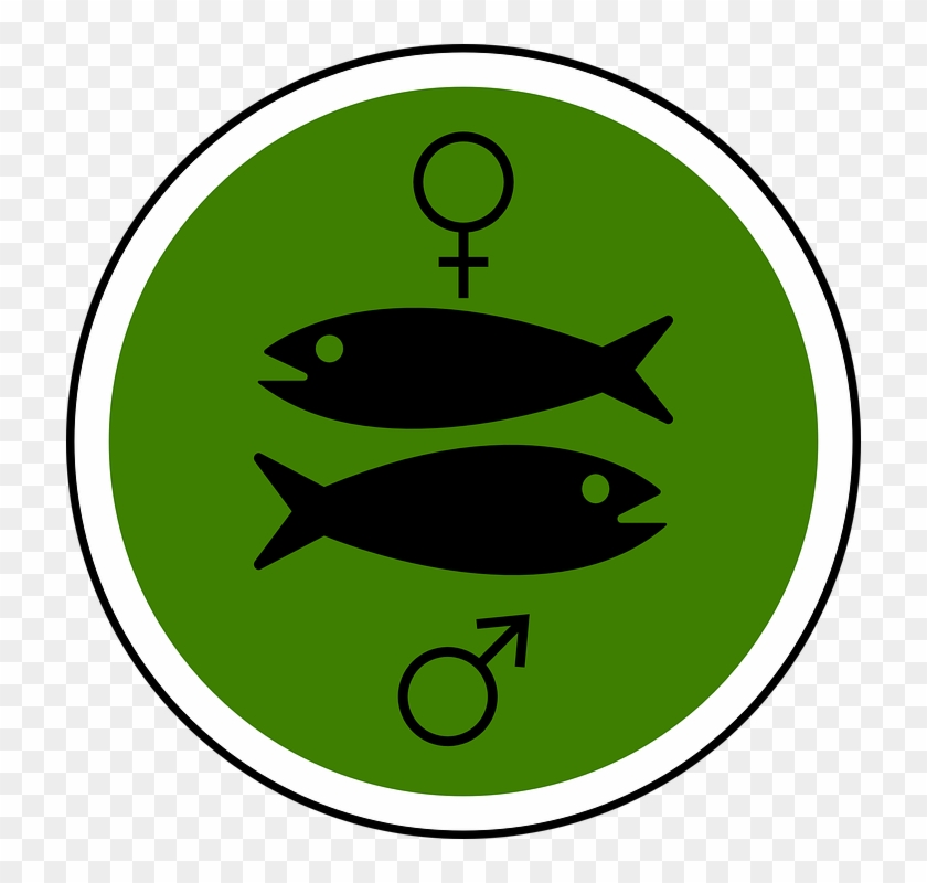 Male Symbol #249248