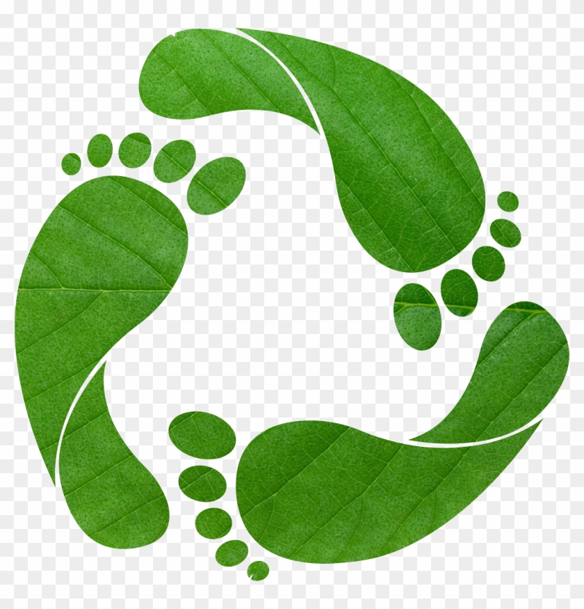 Earth Overshoot Day Ecological Footprint Carbon Footprint - Earth Overshoot Day Ecological Footprint Carbon Footprint #249524