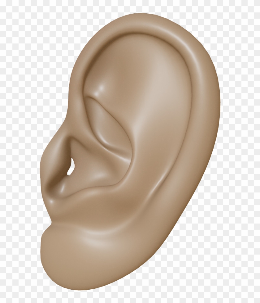 Ear - Wavefront .obj File #249472