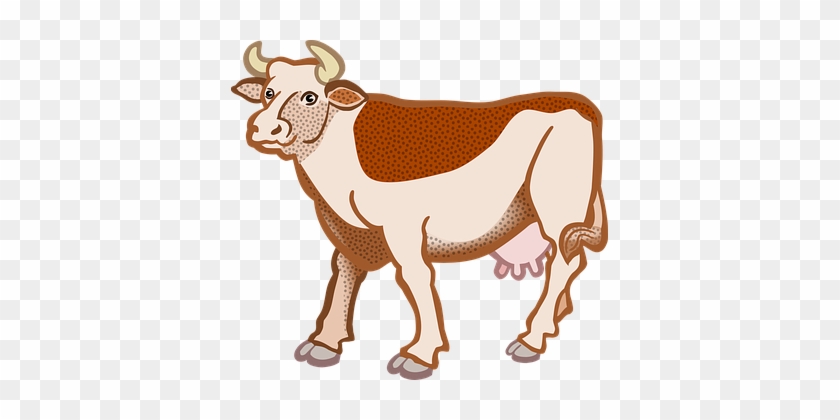 Animal Cow Farm Tier Cow Cow Cow Cow Cow - Sapi Dan Kambing Vektor #249594