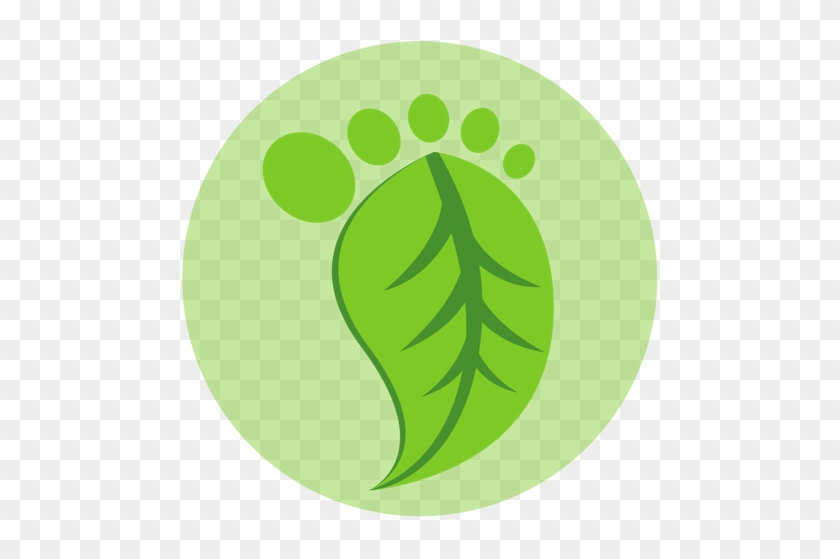 Vector Graphics #249609