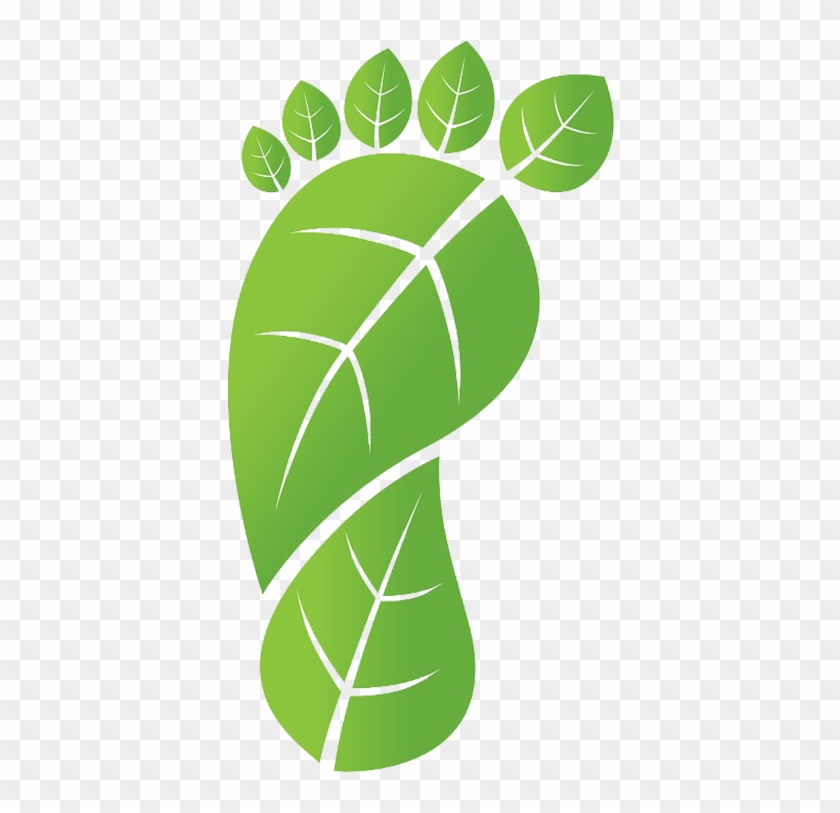 Wise Steps Travel's Mantra - Wise Steps Travel's Mantra #249659