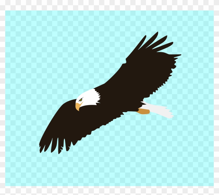 Wellsuited Soaring Eagle Clip Art Free Vector 4vector - Wellsuited Soaring Eagle Clip Art Free Vector 4vector #249727