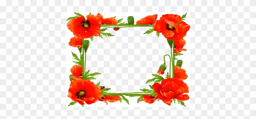 Frames For Flowers And Music - Poppy Frame #249766