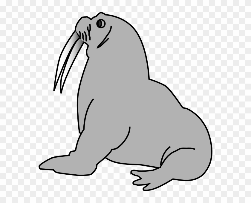 Seal Clip Art #249774