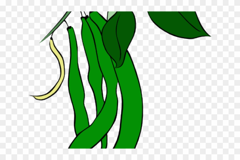 Microsoft Clipart String Bean - Clip Art #249891