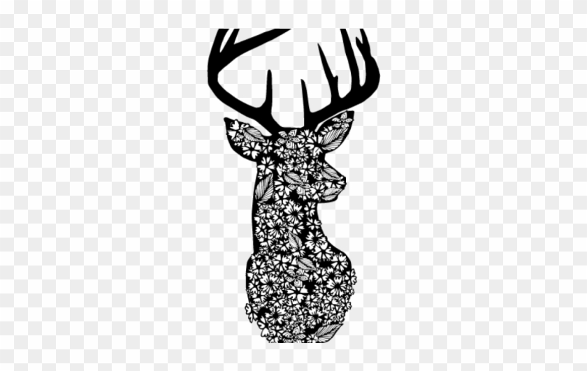 Floral Wildlife Prints - Black Deer Head #1604460
