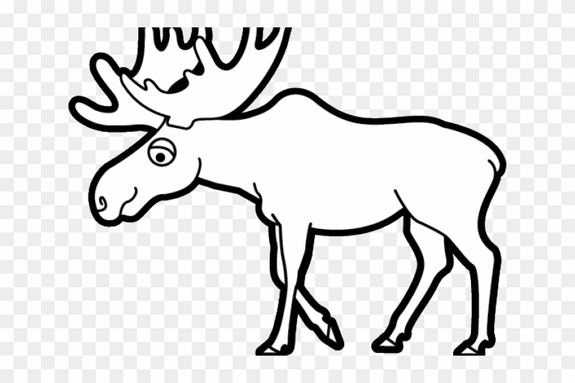 Moose Clipart Face - Moose Black And White #1604559