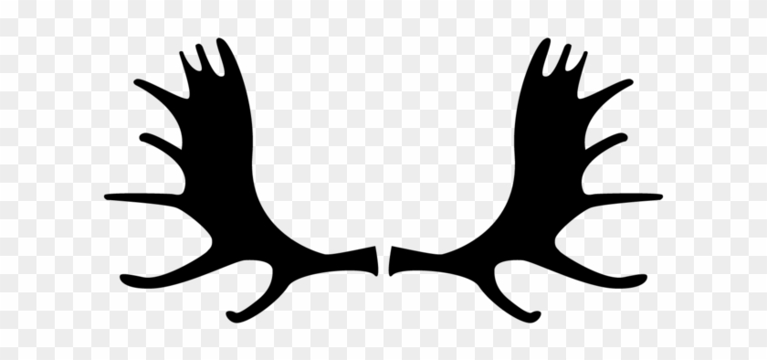 Antlers Silhouette Animalcarecollege Info - Moose Antlers Logo #1604565