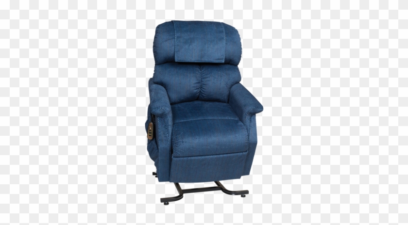 Best Petite Lift Chair - Recliner #1604619