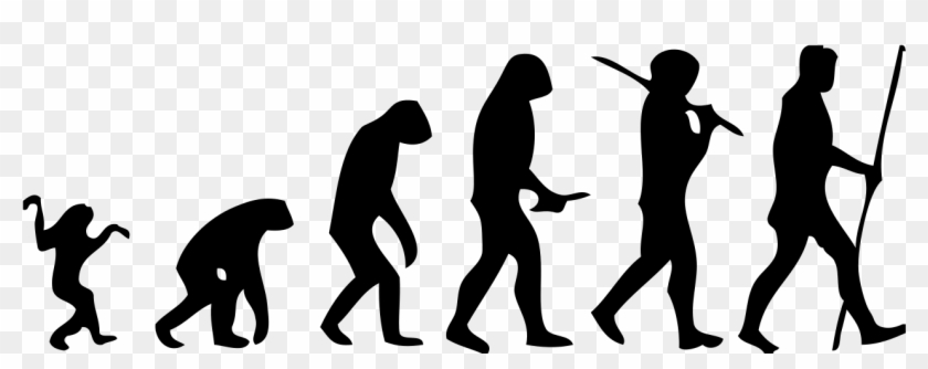 Human Evolution Scheme - Human Evolution Png #1604679