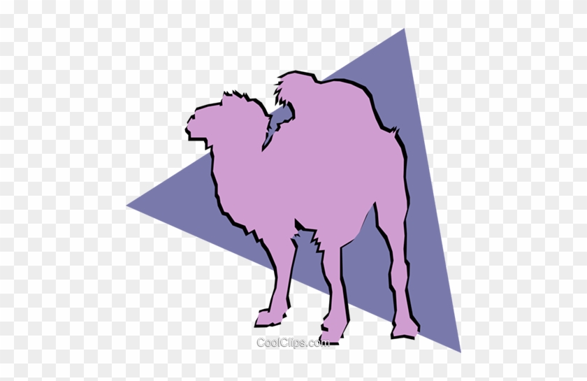 Camels Royalty Free Vector Clip Art Illustration - Camels Royalty Free Vector Clip Art Illustration #1604783