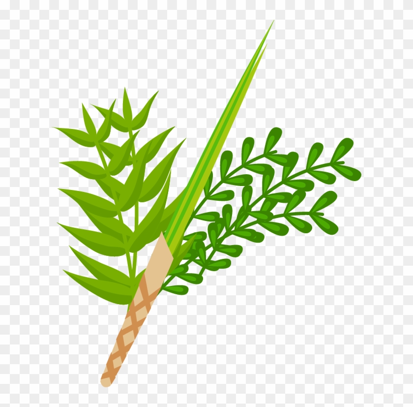 Sukkah Png Transparent #1605297
