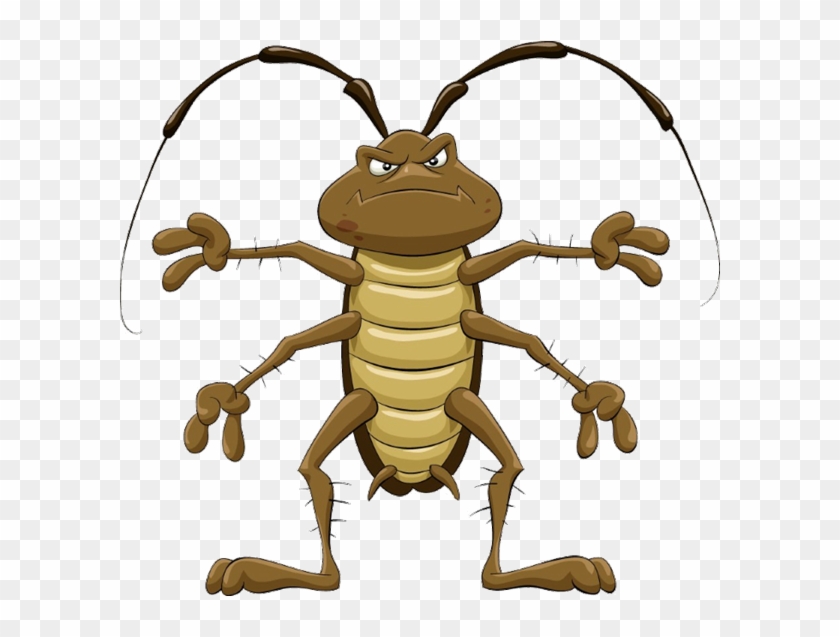 Cockroach Clipart Transparent - Angry Roach #1605306