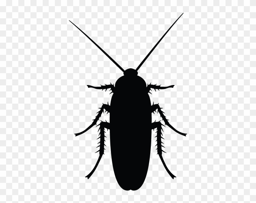 Clip Art Images - Cockroach Png Black And White #1605308