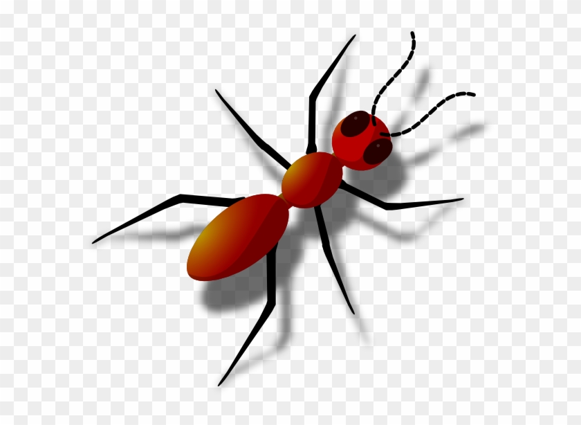 Ant Clip Art At Clkercom Vector Online Royalty Free - Animals That Has 6 Legs #1605311
