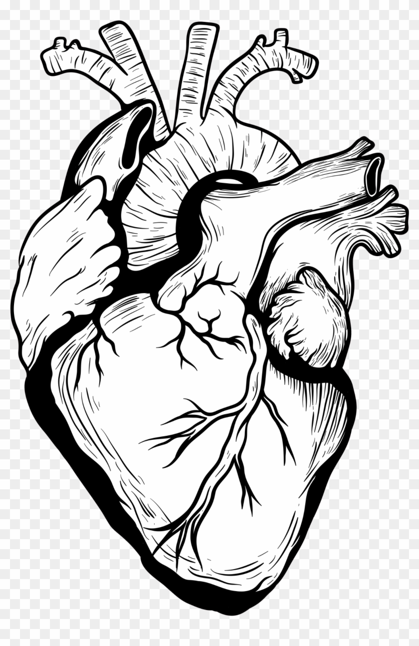 2362 X 2362 9 - Heart Drawing Real Png - Free Transparent PNG ...