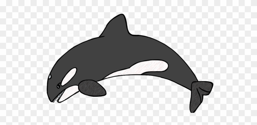 Orca Clipart Orcas Clip Art Panda Free Images - Killer Whales Clip Art #1605912