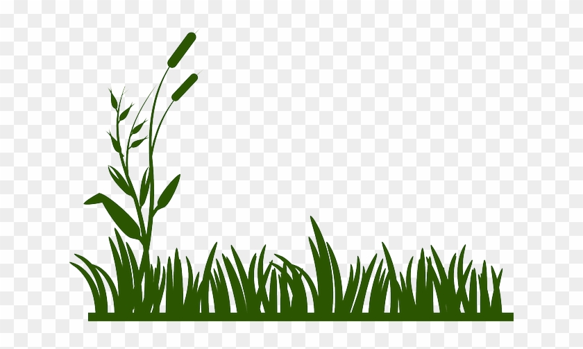 Discover Ideas About Grass Drawing - Grass Clip Art Black And White #1605999