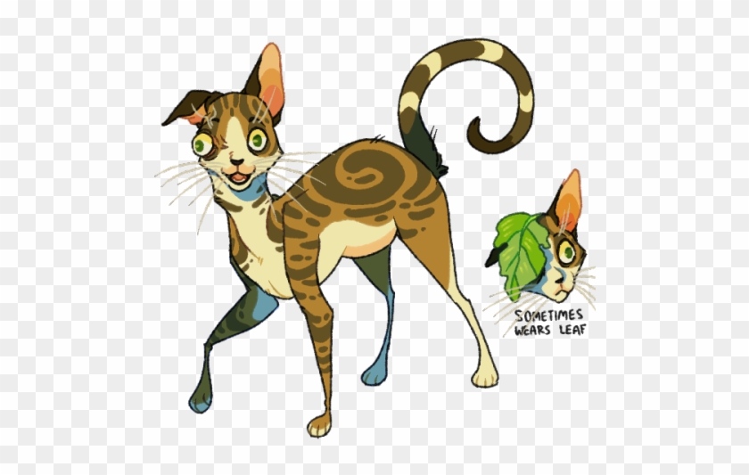 Breeds I Want To See In Warriors - Warrior Cats Ocs #1606360