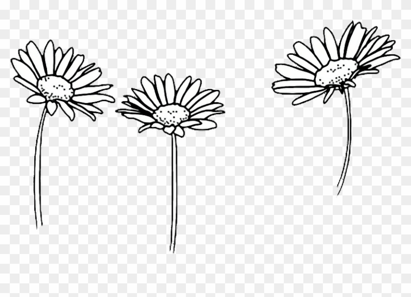 Amazing Outline Castrophotos Drawing Sunflowers Flower - Black And White Doodles Flowers #1606930