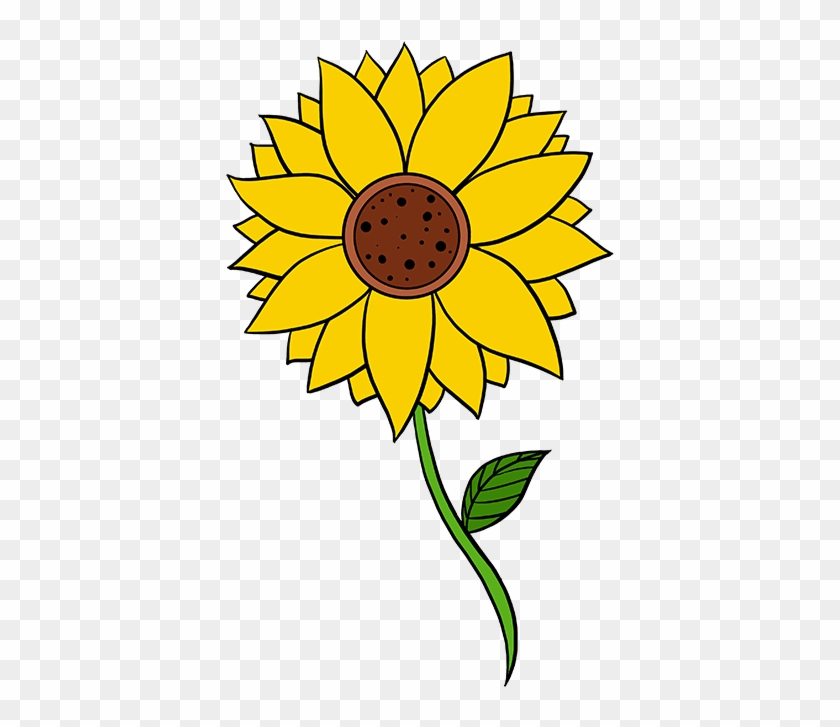 680 X 678 3 - Sunflower Sketch Step By Step #1606940