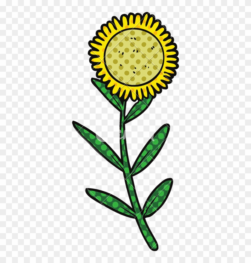 Isolated Cartoon Sunflower - Lithuanian Nationalists #1606946