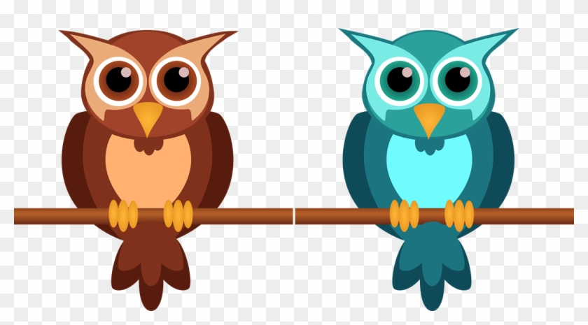 Owl Cute Nocturnal - Cartoon Pictures For Kids #1607361