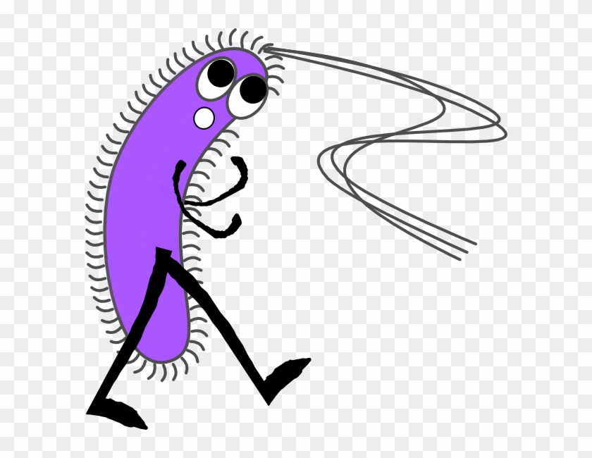 Bacteria Clipart #1607894