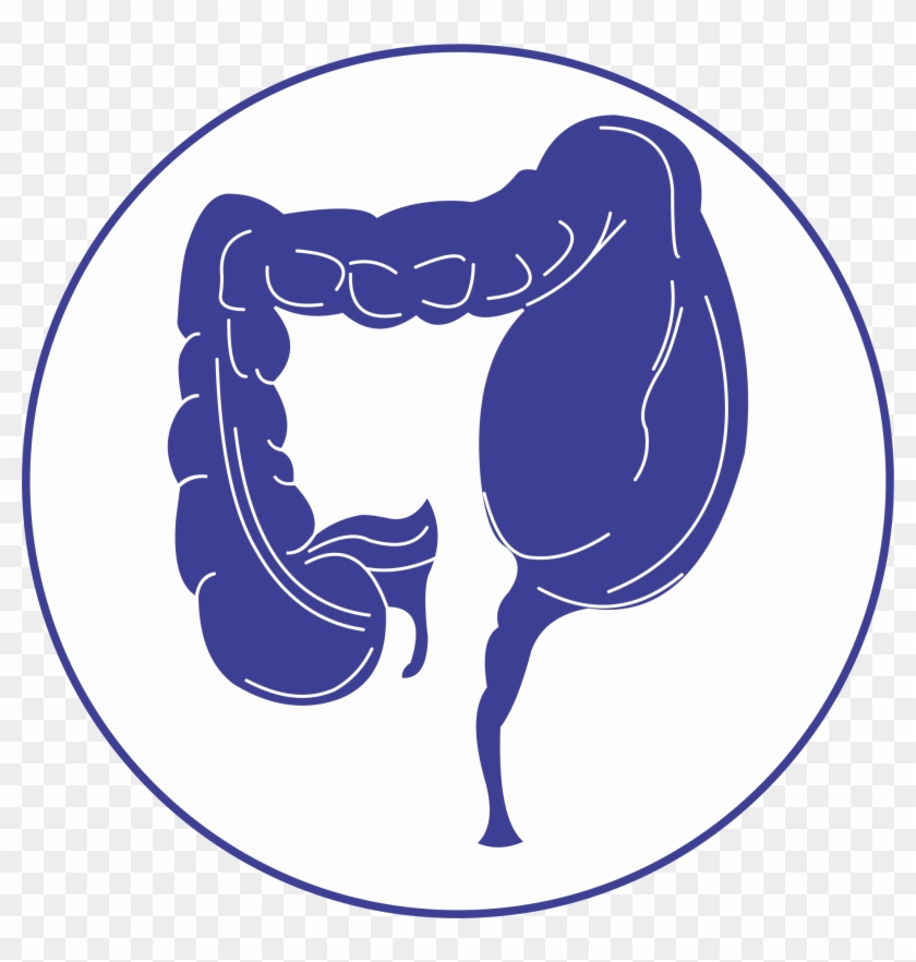 Buy Gomutra Plus Capsules & Get 30ml Cureon Plus Oil - Buy Gomutra Plus Capsules & Get 30ml Cureon Plus Oil #1608032