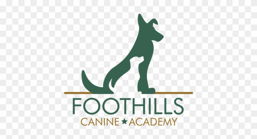 Foothills Canine Academy - Graphic Design #1608965