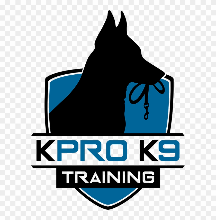 K Pro Shield Full Color - K Pro Shield Full Color #1608969