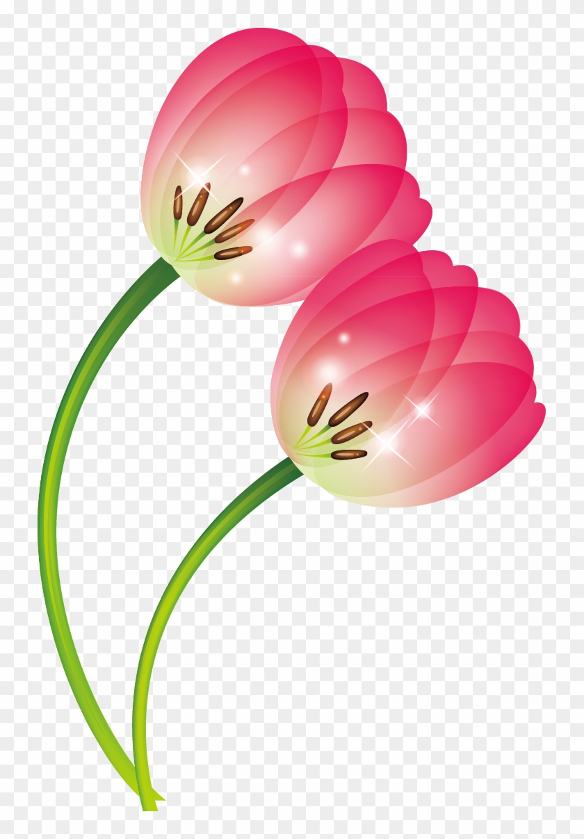 Tulip Clip Art - Tulip #1609528