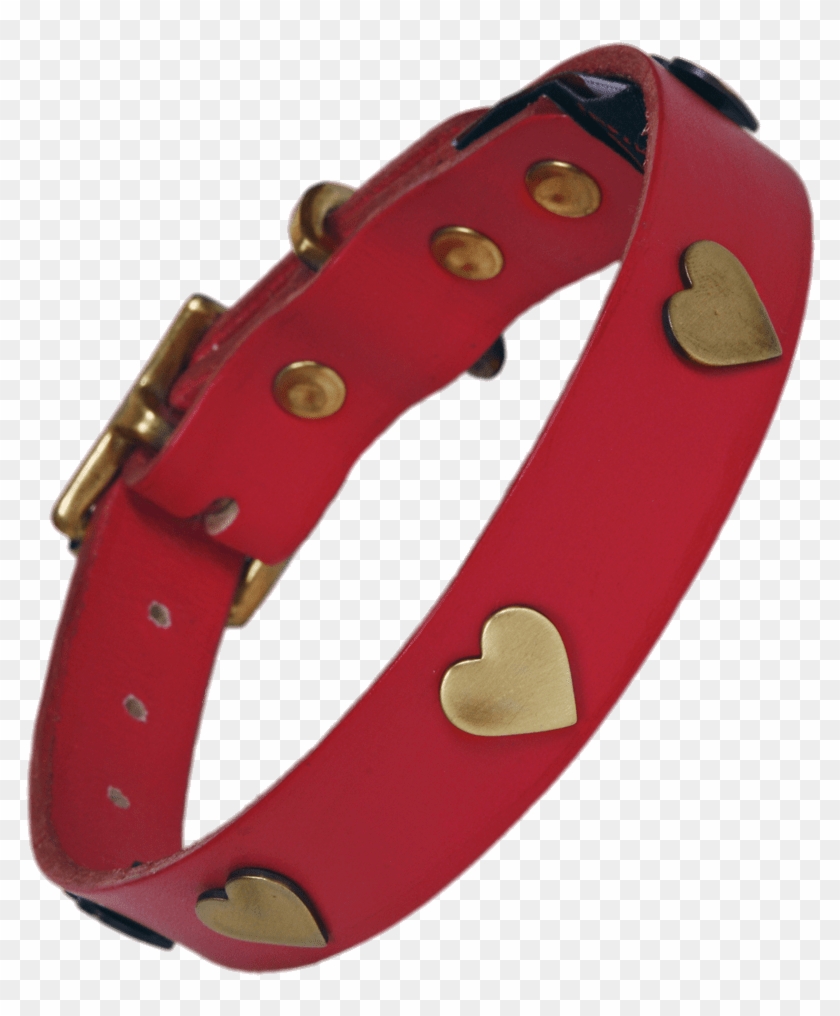 Golden Hearts Dog Collar - Bracelet #1610187