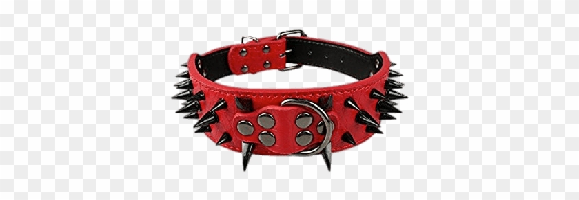 Miscellaneous - Spiked Dog Collars #1610189